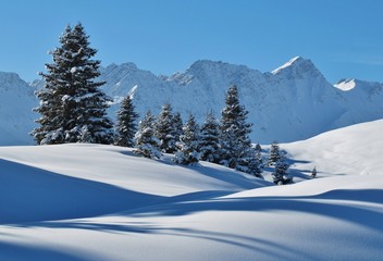 Fototapeta na wymiar Schneelandschaft bei Arosa