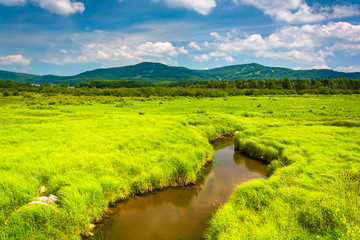 Small stream and distant mountains at Canaan Valley State Park,
