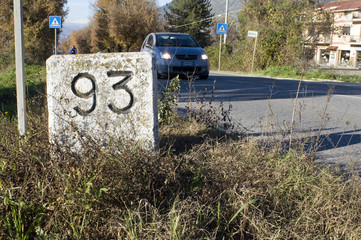 Milestone