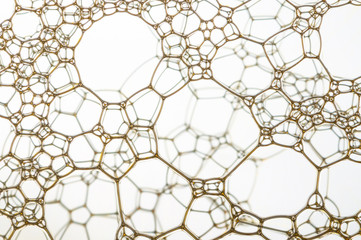 Lattice