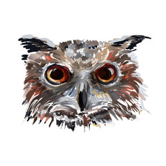Fototapeta premium Vector owl head
