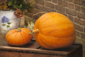Bodegón de Calabazas