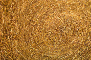 straw background