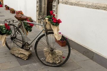 Fototapeta na wymiar bicycle flourished