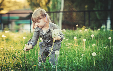 baby girl picking flowers. Girl on a background of green meadows