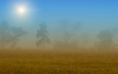 Fototapeta na wymiar Foggy landscape