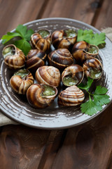 Escargots de Bourgogne, close-up, studio shot
