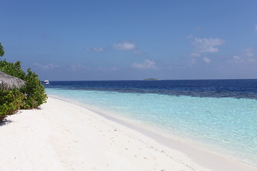 Fototapeta na wymiar Malediven Weißer Sandstrand und türkisfarbenes Meer