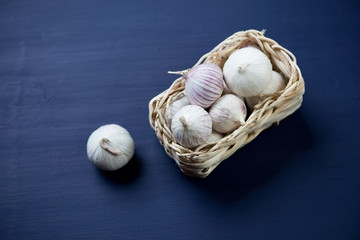 Chinese solo garlic over dark blue wooden surface, studio shot