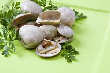 clams with parsley on green dish