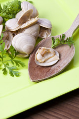 clams with parsley on green dish