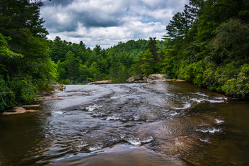 Fototapeta na wymiar The Little River above High Falls, in Dupont State Forest, North