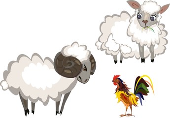 Stubborn ram, sheep and cock