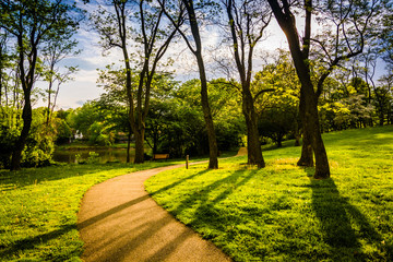 Trees along a path at Wilde Lake Park in Columbia, Maryland.