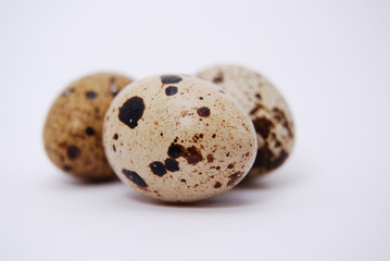 Obraz premium Uova di quaglia