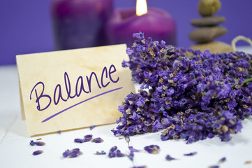 Lavendel mit Balance