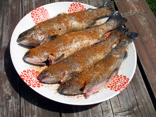 fish