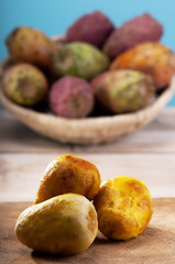 Sweet opuntia Prickly Pears