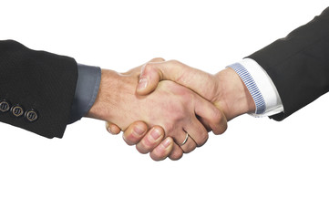 Fototapeta na wymiar Closeup of a business hand shake 