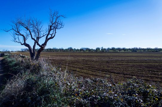 Paesaggio della Murgia, Puglia