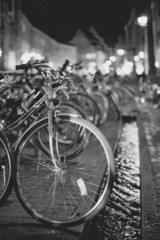 bikes in the city - 74864052