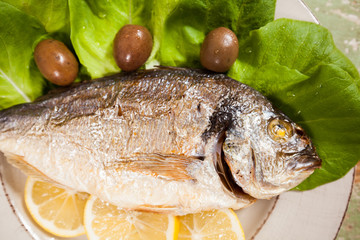 Fish (Sparus aurata) freshly cooked and served