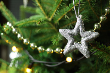 Christmas star on christmas tree branch