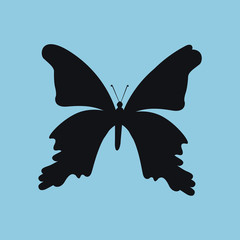 butterfly silhouette