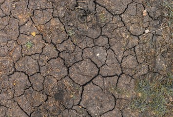 Dry soil closeup before rain