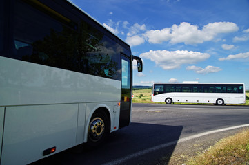 Two white buses passing through the intersection in landscape