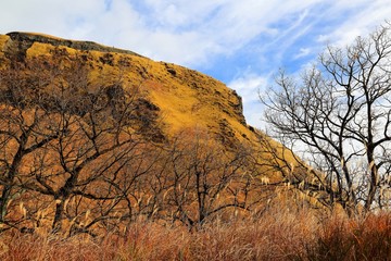 Obraz premium 阿蘇外輪風景