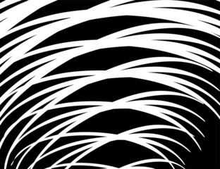 Black Abstract textured background. Vector art