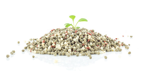 Chemical fertilizer for plant on white background