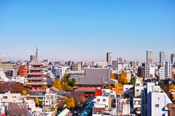 ビルの上から見た浅草寺の風景