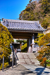 鎌倉の安養院の入り口