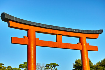 Fototapeta premium 鳥居