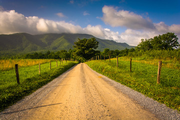 Dirt road at Cade's Cove , Great Smoky Mountains National Park,
