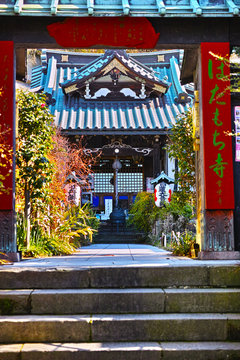 鎌倉のぼたもち寺の入り口