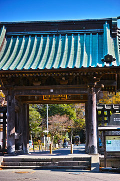 鎌倉の妙本寺の入り口と人力車