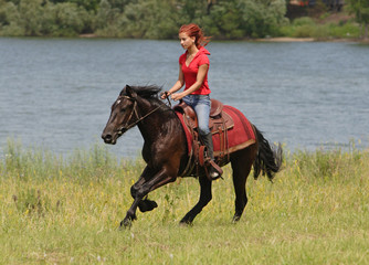 Karachai-Tscherkessien - best breed of horse for trail riding