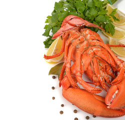 Boiled lobster