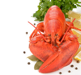 Boiled lobster