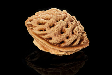 Peach fruit stone on black
