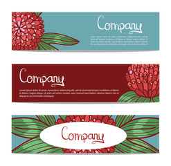 Vector stylish floral banners with clover.