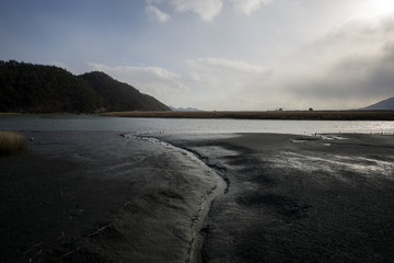 Muddy wetlands in Suncheon bay