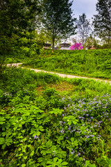 Flowers and a path at Wildwood Park in Harrisburg, Pennsylvania.