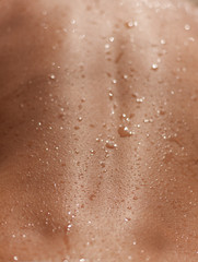 skin sun tan wet closeup texture background human back backlit