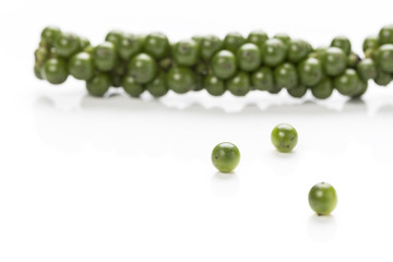 fresh pepper on white background