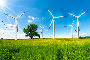 Electric Wind Generators in Countryside