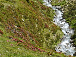 The spluegen pass in Switzerland